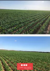 Fazenda / Sítio / Chácara à venda, 10575400m² no , Rio Sono