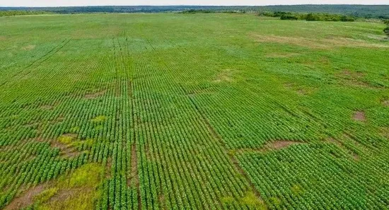 Fazenda / Sítio / Chácara à venda, 21500000m² no Centro, Paraíso do Tocantins