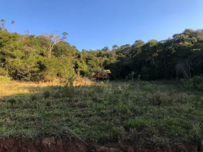Fazenda / Sítio / Chácara com 1 Quarto à venda, 5121m² no Área Rural de Viçosa, Viçosa