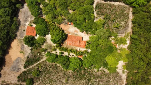 Fazenda / Sítio / Chácara à venda, 11000m² no , Campo Maior