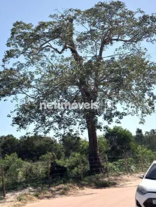 Terreno / Lote Comercial à venda, 360m² no Morada da Barra, Vila Velha