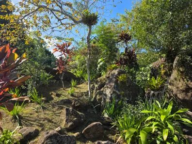 Fazenda / Sítio / Chácara com 3 Quartos à venda, 120m² no Centro, Guapimirim
