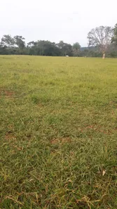 Fazenda / Sítio / Chácara à venda, 280000m² no Centro, Formosa