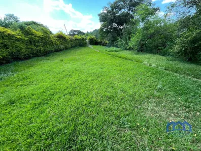 Fazenda / Sítio / Chácara com 5 Quartos à venda, 6000m² no , Alumínio