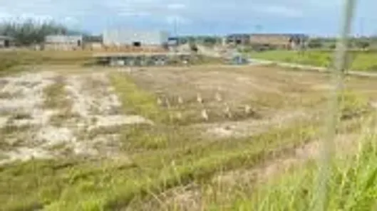 Galpão / Depósito / Armazém para alugar, 5000m² no Cabiúnas, Macaé