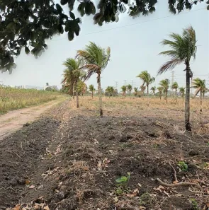 Fazenda / Sítio / Chácara à venda, 65000m² no Santa Cruz, Rio de Janeiro
