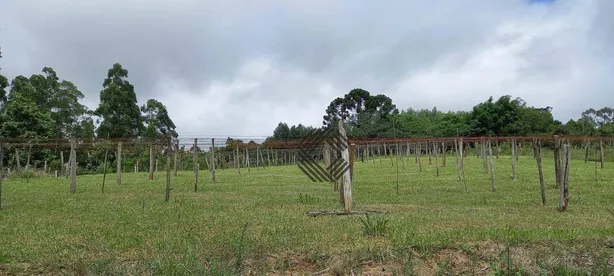 Fazenda / Sítio / Chácara com 3 Quartos à venda, 300m² no , Pilar do Sul