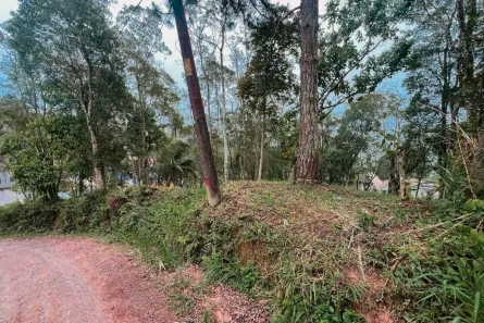 Terreno / Lote / Condomínio com 1 Quarto à venda, 2054m² no Parque do Governador, Rio Grande da Serra