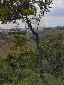Fazenda / Sítio / Chácara à venda, 8010m² no Chácaras Quedas do Descoberto, Águas Lindas de Goiás
