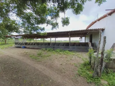 Fazenda / Sítio / Chácara com 3 Quartos à venda, 30000m² no Centro, Taipu