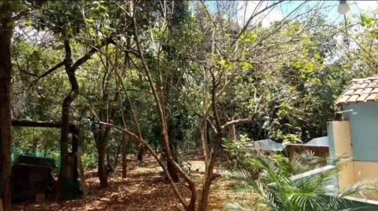 Fazenda / Sítio / Chácara à venda, 4500m² no , Brasília