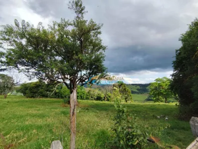 Fazenda / Sítio / Chácara com 2 Quartos à venda, 400m² no , Guaraniaçu