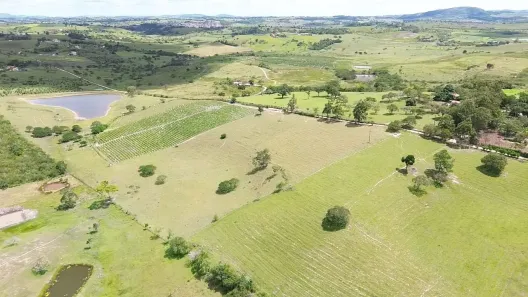 Fazenda / Sítio / Chácara com 3 Quartos à venda, 298000m² no , Sairé