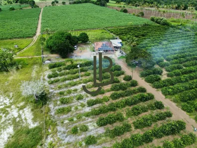 Fazenda / Sítio / Chácara com 2 Quartos à venda, 100m² no Centro, Alhandra