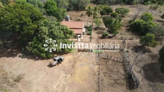 Fazenda / Sítio / Chácara à venda, 600m² no Centro, Lagoa da Confusão