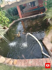 Fazenda / Sítio / Chácara com 3 Quartos à venda, 1000m² no Santa Maria III, Rio das Pedras