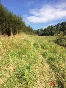 Terreno / Lote / Condomínio à venda, 1100000m² no da Lagoa, Itapecerica da Serra