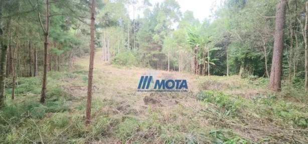 Fazenda / Sítio / Chácara à venda, 186700m² no Área Rural de Campo Largo, Campo Largo