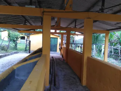 Fazenda / Sítio / Chácara com 6 Quartos à venda, 120000m² no Área Rural de Vitória do Santo Antão, Vitória de Santo Antão