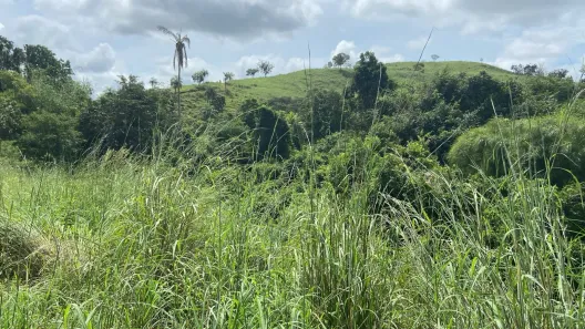 Fazenda / Sítio / Chácara com 1 Quarto à venda, 1873080m² no , Ponte Alta do Tocantins