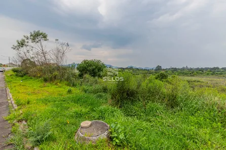 Terreno / Lote / Condomínio à venda, 5038m² no Loteamento Bosque Merhy, Quatro Barras