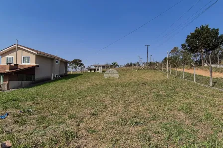 Fazenda / Sítio / Chácara com 3 Quartos à venda, 200m² no Cachoeira, São José dos Pinhais