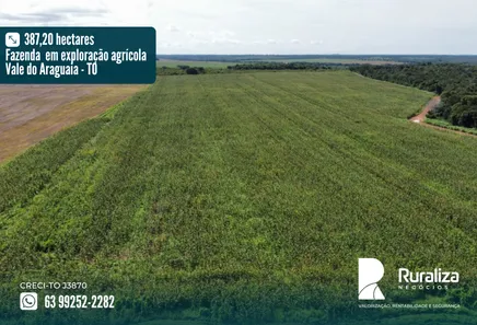Fazenda / Sítio / Chácara à venda, 387m² no , Cristalândia