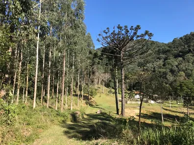 Fazenda / Sítio / Chácara à venda, 919600000m² no , Rio Branco do Sul
