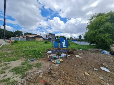 Terreno / Lote Comercial à venda, 1080m² no Jardim Boa Sorte, Igarassu