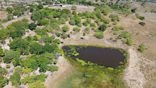Fazenda / Sítio / Chácara com 2 Quartos à venda, 90000m² no , Sairé