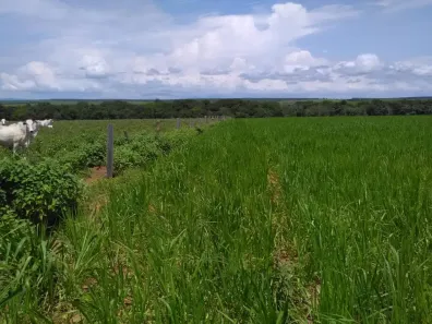 Fazenda / Sítio / Chácara à venda, 86757000m² no , Guaraí