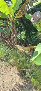 Terreno / Lote / Condomínio à venda, 49839m² no Tribobó, São Gonçalo