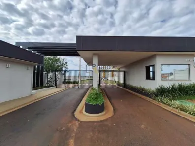 Apartamento com 2 Quartos para alugar, 42m² no Vila São Luiz, Ourinhos