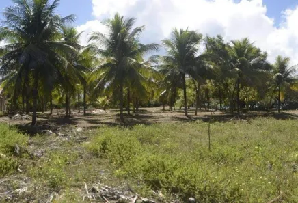 Terreno / Lote / Condomínio à venda, 7m² no Aruana, Aracaju