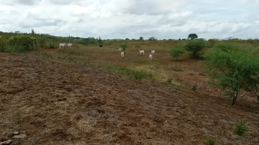 Fazenda / Sítio / Chácara com 5 Quartos à venda, 360000m² no , Passira
