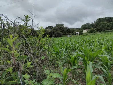 Terreno / Lote / Condomínio à venda, 20000m² no , Fortuna de Minas