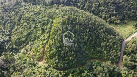 Fazenda / Sítio / Chácara com 1 Quarto à venda, 117526m² no , Massaranduba