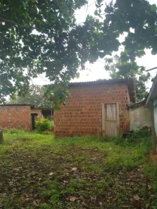 Fazenda / Sítio / Chácara com 4 Quartos à venda, 40000m² no , Feira Nova