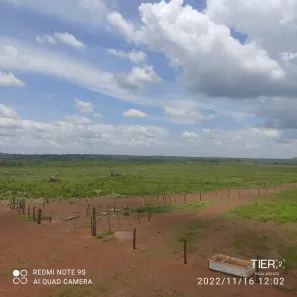 com 1 Quarto à venda, 320m² no , Pedro Afonso