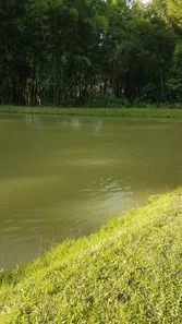 Fazenda / Sítio / Chácara com 2 Quartos à venda, 151000m² no Dos Borges, Embu-Guaçu