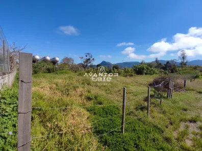 Terreno / Lote / Condomínio à venda, 768m² no Pé de Plátano, Santa Maria