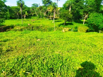 Fazenda / Sítio / Chácara com 2 Quartos à venda, 210000m² no Padre Bernardo, Padre Bernardo