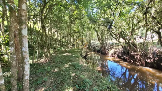 Terreno / Lote / Condomínio à venda, 63000m² no Jardim da Colina, Campina Grande do Sul