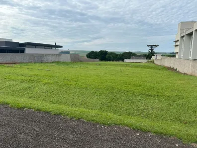 Terreno / Lote / Condomínio à venda, 1256m² no Jardim Petrópolis, Arapongas