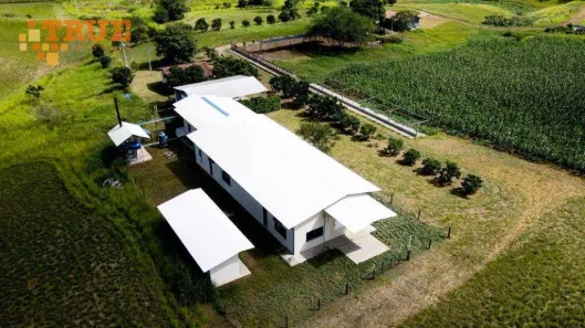 Fazenda / Sítio / Chácara com 3 Quartos à venda, 230000m² no Passira, Passira