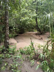 Fazenda / Sítio / Chácara à venda, 1m² no , Paranã