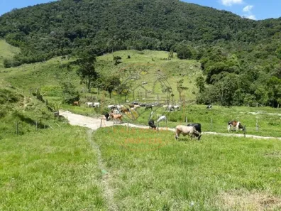 Fazenda / Sítio / Chácara com 2 Quartos à venda, 25m² no Centro, Macaé