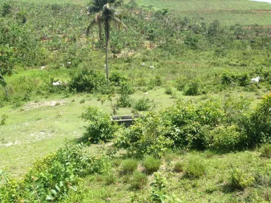 Fazenda / Sítio / Chácara com 3 Quartos à venda, 660000m² no , Pombos