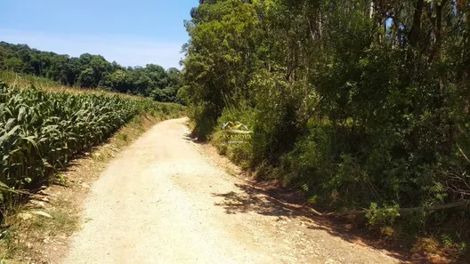 Fazenda / Sítio / Chácara com 1 Quarto à venda, 34550m² no Mato Dentro, Almirante Tamandaré