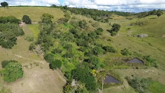 Fazenda / Sítio / Chácara com 2 Quartos à venda, 125000m² no , Sairé